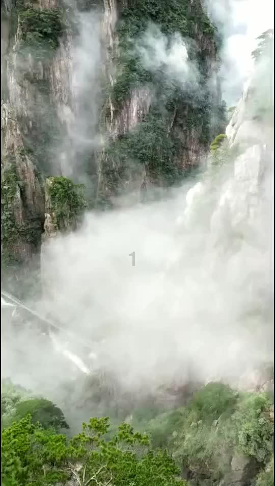 国王的坐骑